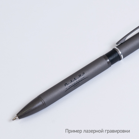 Шариковая ручка АйПи Хамелеон (IP Chameleon), черная