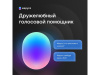 Умная колонка VK Капсула с голосовым помощником Марусей, черный