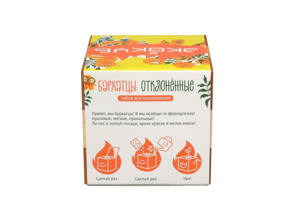 Набор для выращивания Мята