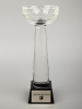 Кубок Cupture