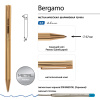 РУЧКА  "BERGAMO" ШАРИКОВАЯ АВТОМАТИЧЕСКАЯ, МЕТАЛЛИЧЕСКИЙ КОРПУС ЗОЛОТО, 0.7 ММ, СИНЯЯ