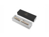 Ручка перьевая Parker IM Premium, F