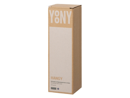 Бутылка из боросиликатного стекла Hangy, 550 мл