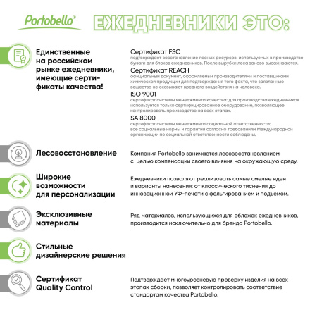 Ежедневник Рейн (Rain) недатированный, серый (без упаковки, без стикера)